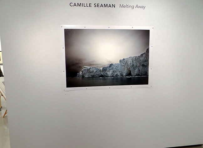 Camille Seaman artist art