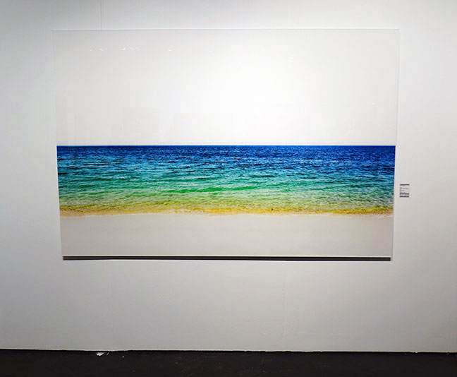 artist art