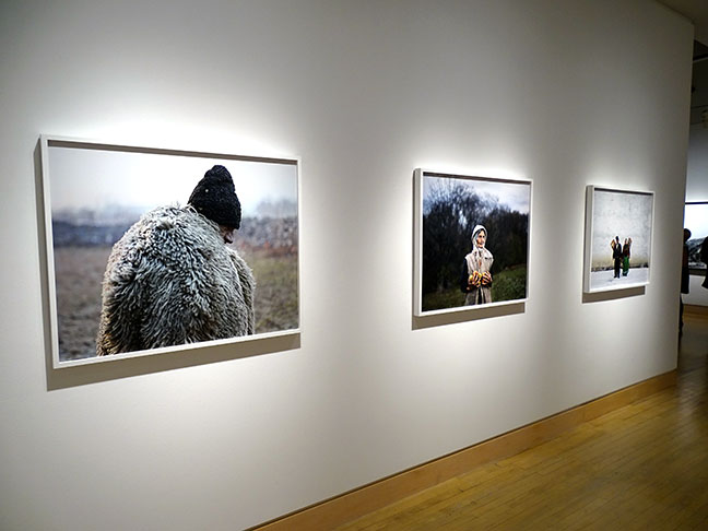 Tamas Dezso Photo