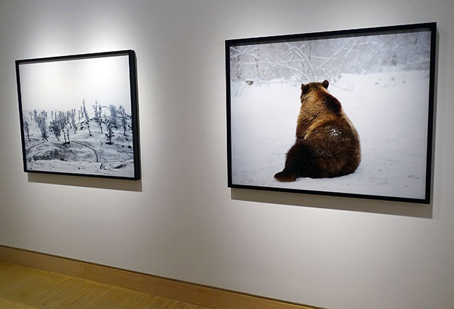 art