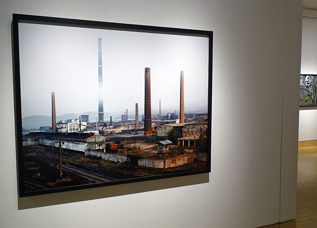 Tamas Dezso artist art