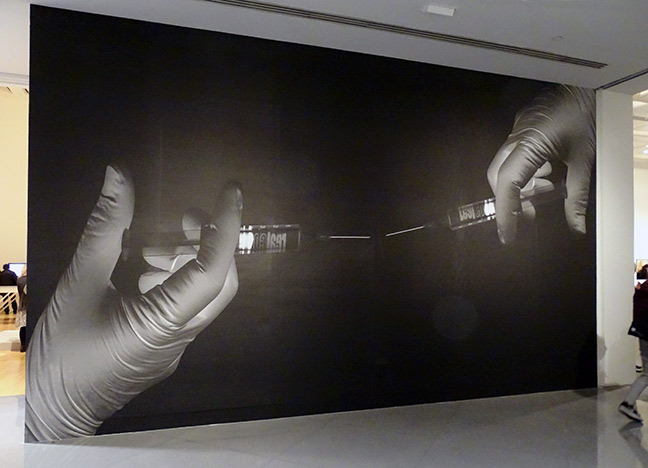 Lynn Hershman Leeson artist art