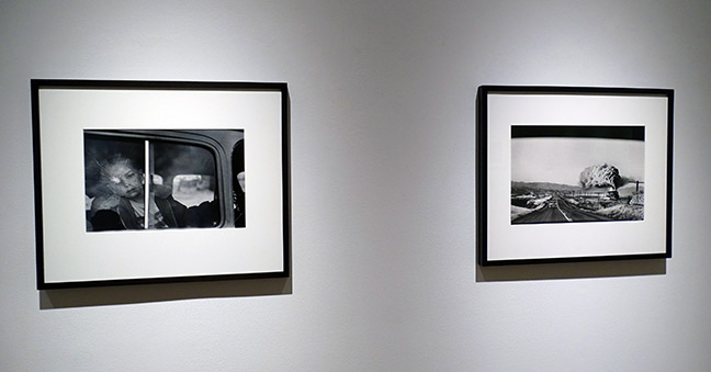 Elliott Erwitt art