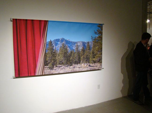 Alice Shaw artist art