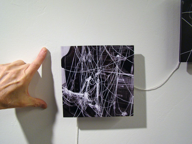 Rebecca Goldfarb artist