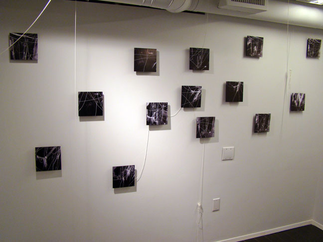 Rebecca Goldfarb artist