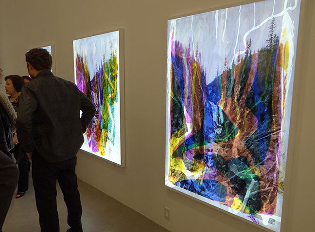 Matthew Brandt artist art