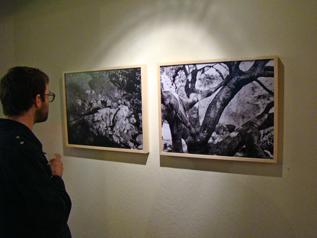Sune Woods artist art