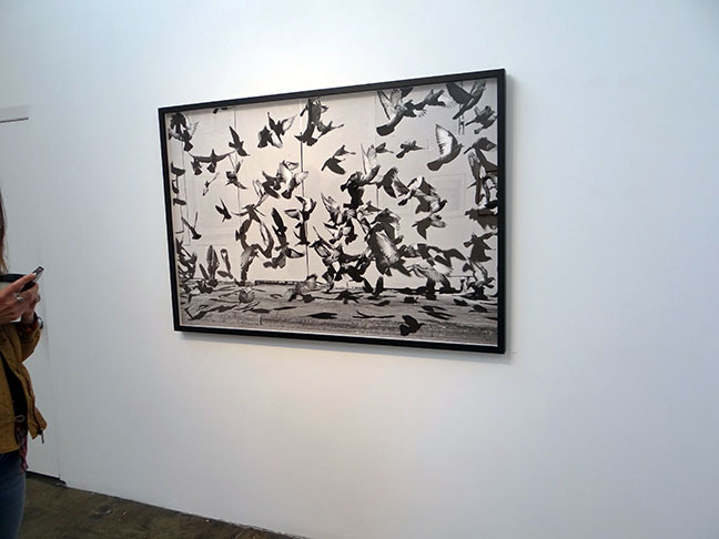 Travis Jensen artist art