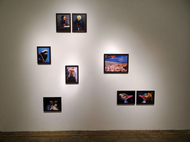 Nina Katchadourian art