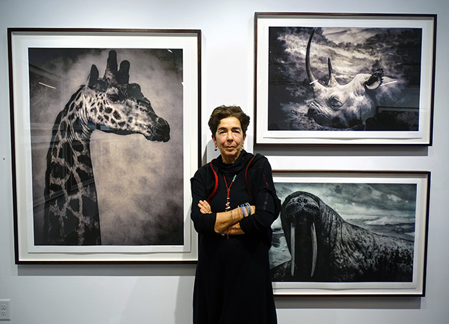 Pavlina Ecclesiarhou artist art