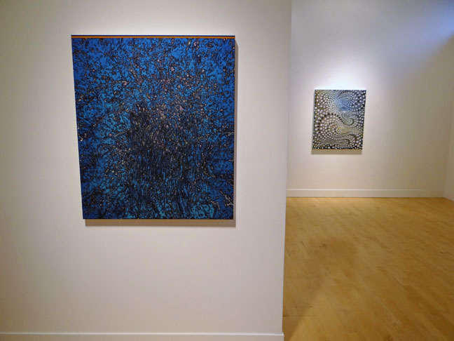 Barbara Takenaga artist art
