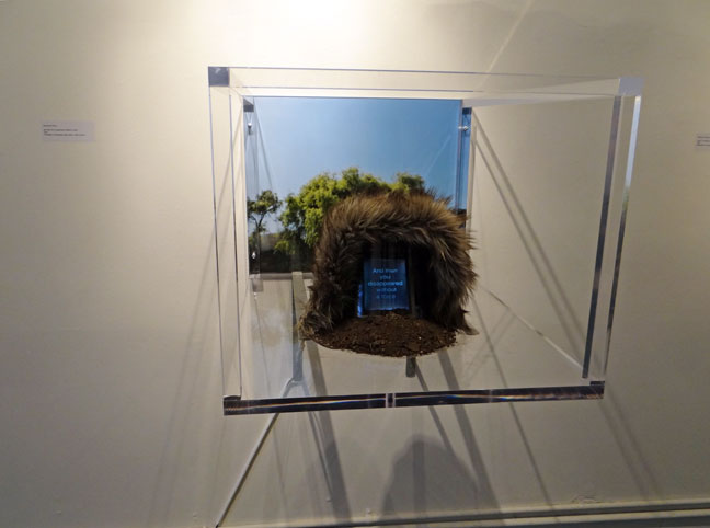 Kyoung-ah Kang artist art
