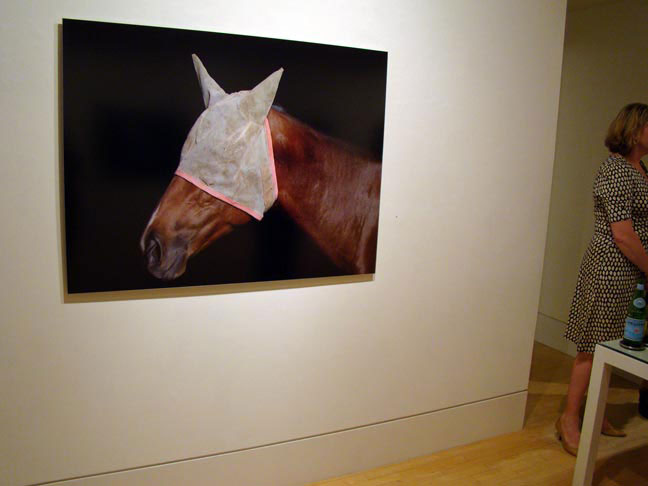 Elena Dorfman artist art