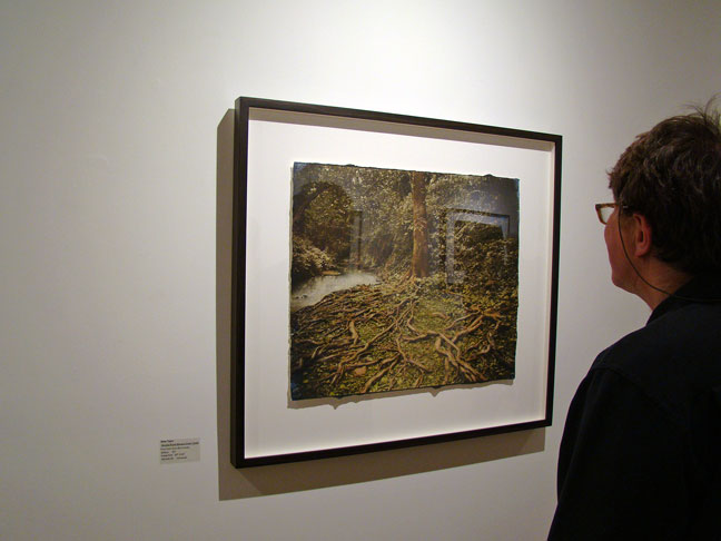 Brian Taylor artist art