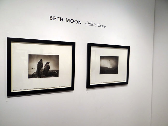 Beth Moon Photo