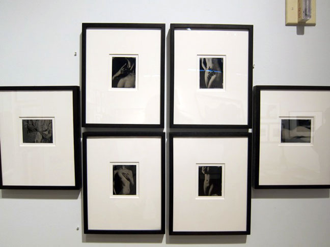 Niniane Kelley artist art