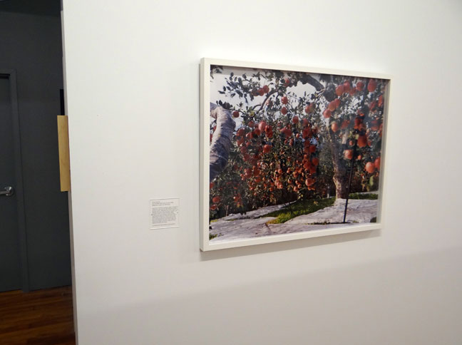 art