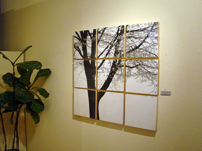 Irene Stauffer artist art