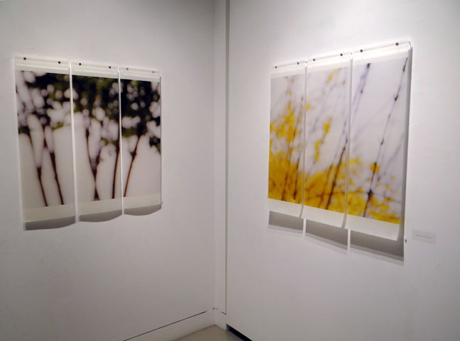 Jeri Eisenberg artist art