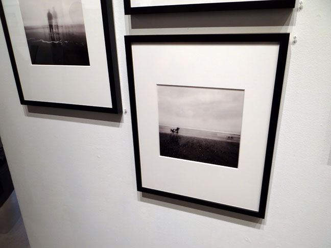 Jacqueline Walters Photo