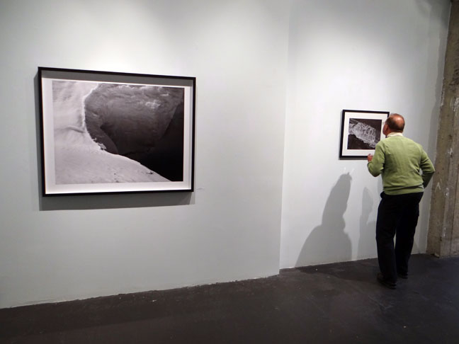 Colin McRae artist art