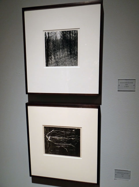 art