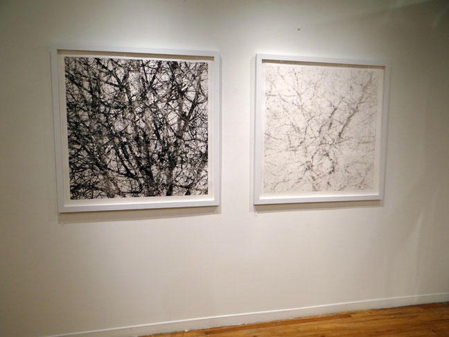 Ryan Bush art