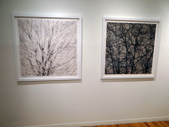 Ryan Bush artist art