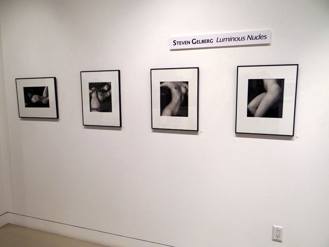 Steven Gelberg Photo