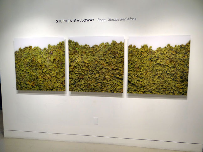 Stephen Galloway art