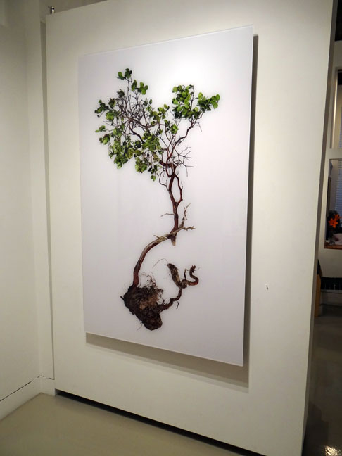 art
