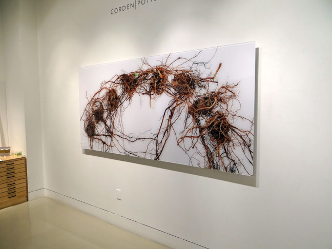 Stephen Galloway artist art