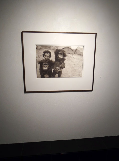 Mary Ellen Mark artist art