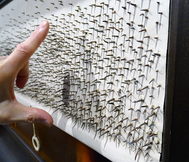 art