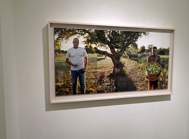 art