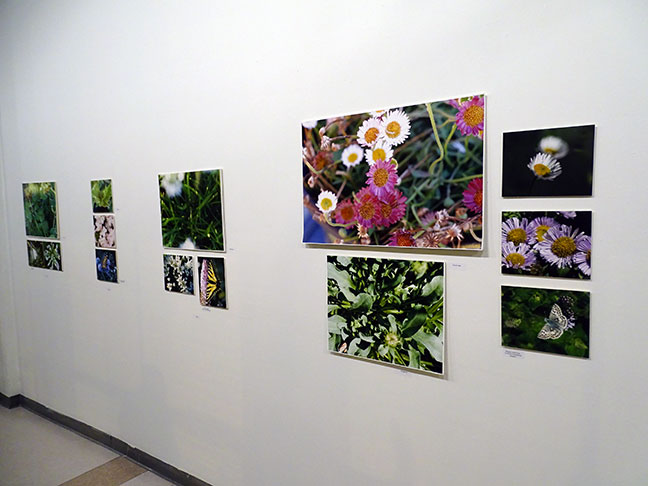 Susan Dunlap art