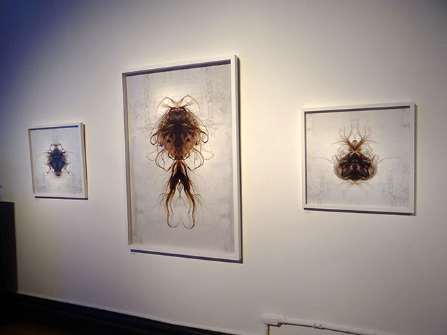 Traci Griffin artist art