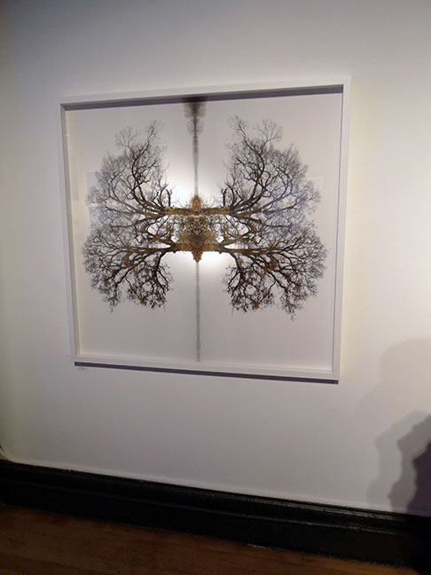 Traci Griffin Photo