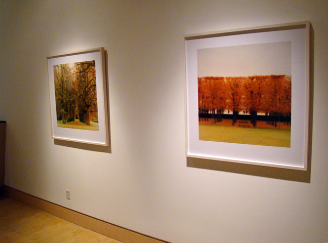 Lynn Geesaman Photographer