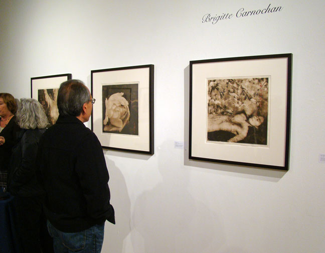 Brigitte Carnochan artist art