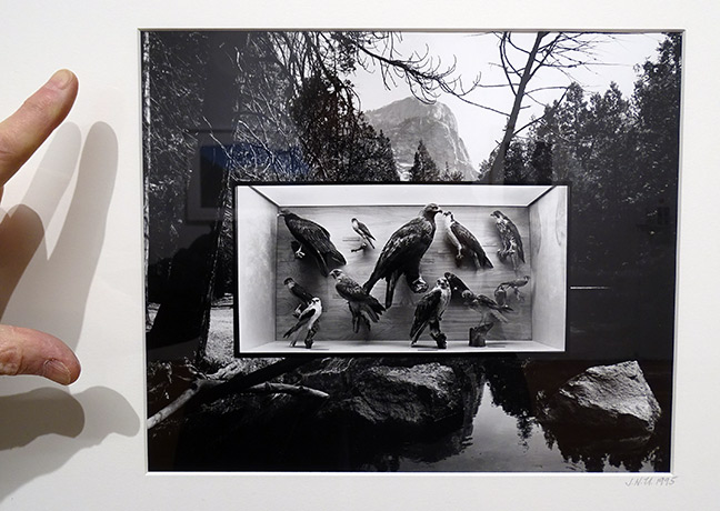 Jerry Uelsmann artist art
