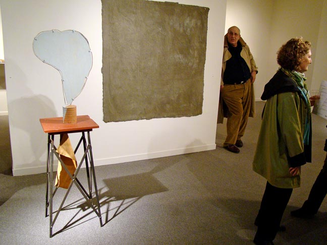 David Ireland art