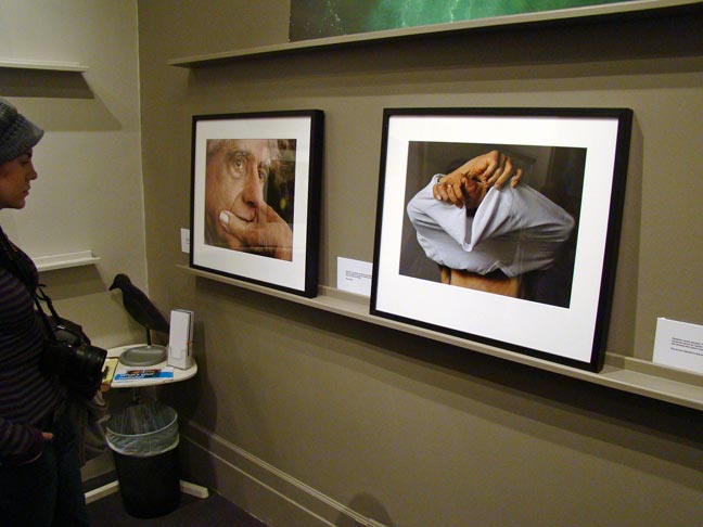 Judith Fox artist art