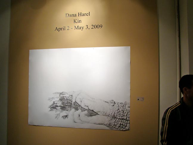 Dana Harel art
