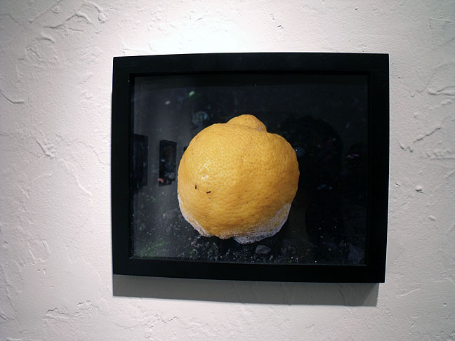 Liena Vayzman artist art