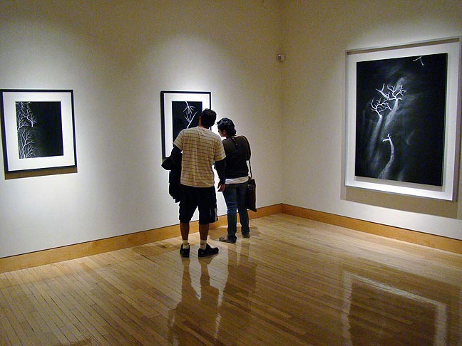 Hiroshi Sugimoto art